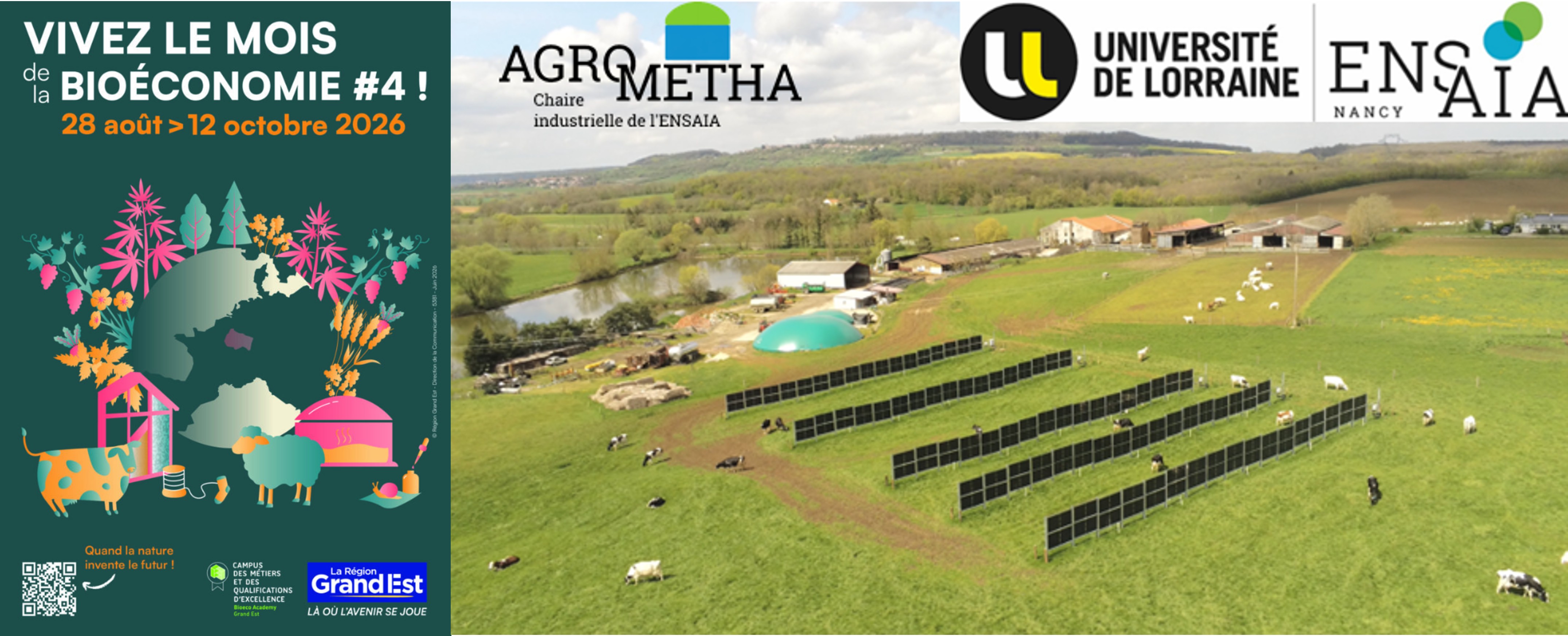 Elevage et production d’énergie verte : intérêts et limites