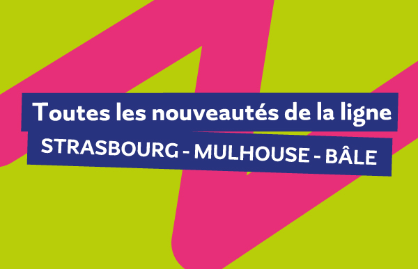 Visuels-email-nouveautés-SMB-2026