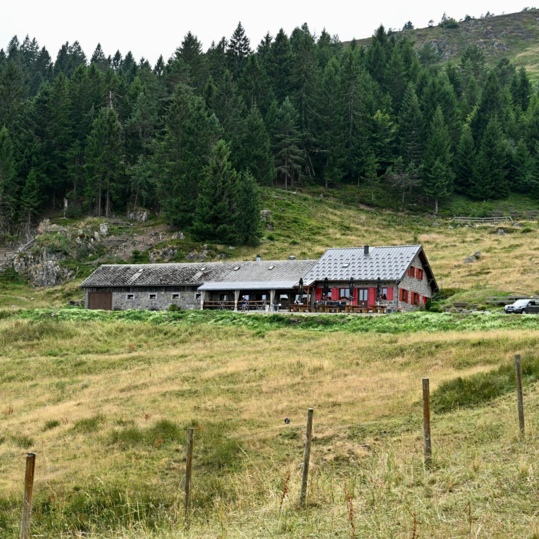 Vosges : construire demain