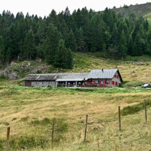 Vosges : construire demain
