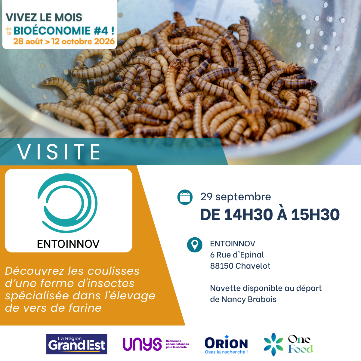 Visite de EntoInnov – ferme à insectes