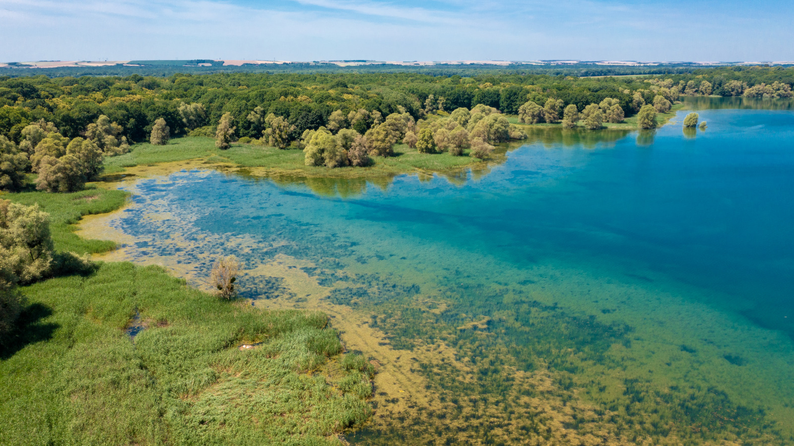 Lac d'Orient - 2022-06-16 - Samuel Grebil _ RGE (4)
