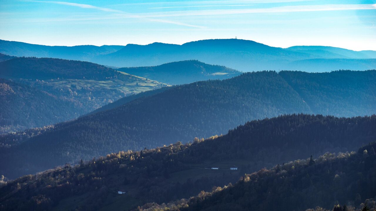Changement climatique : la Région s’engage avec Life Adapt’Est
