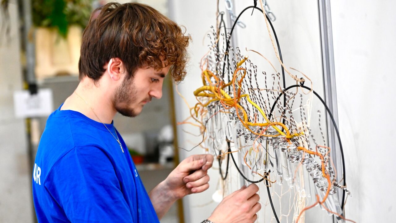 Worldskills 2025 - Apprenti Arthur Ruyer - Épreuve Art floral