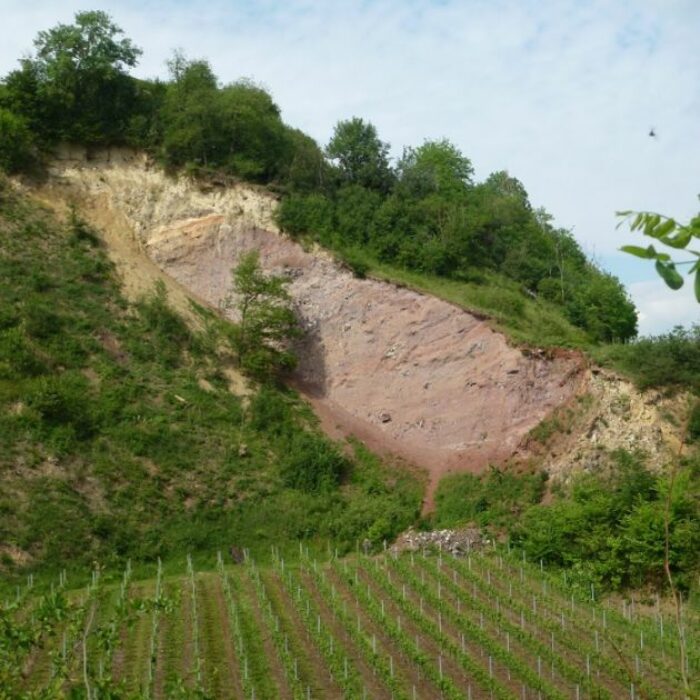 Le Kaiserstuhl, un volcan dans la plaine du Rhin