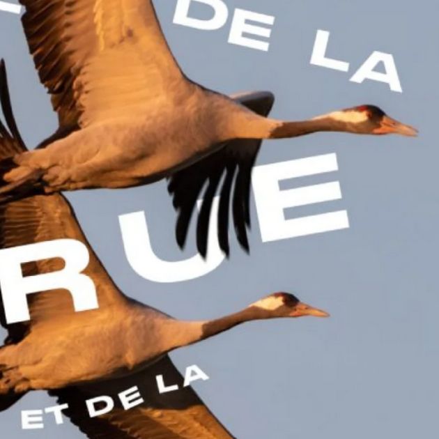 Fête de la Grue et de la Migration