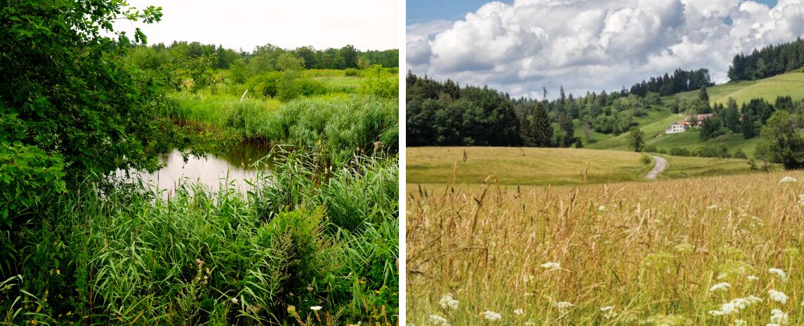 photos-certificatsbiodiversité