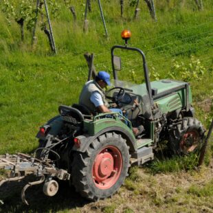 Soutenir les agriculteurs et viticulteurs face à la crise climatique